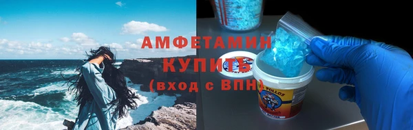 стафф Гусев