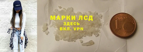 стафф Гусев