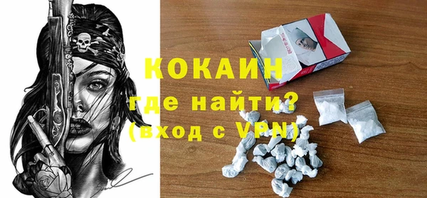 стафф Гусев