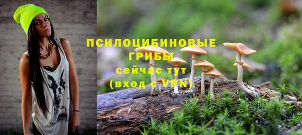 прущий лед Гусиноозёрск