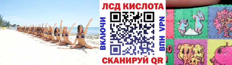Наркотические марки 1,8мг  как найти закладки  Ельня 